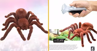 tarantule-tele-guidee-la-bonne-blague