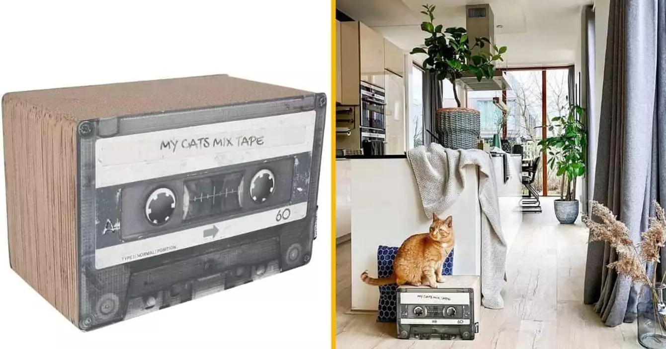 boite-a-chat-bois-grattoir