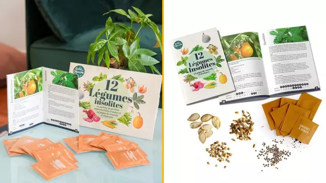 GRAINES-LEGUMES-INSOLITES