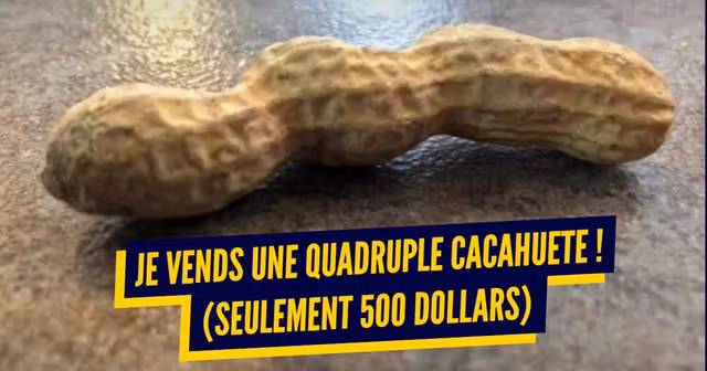 top annonces craiglist