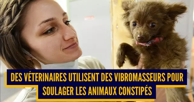 une_objets_detournes