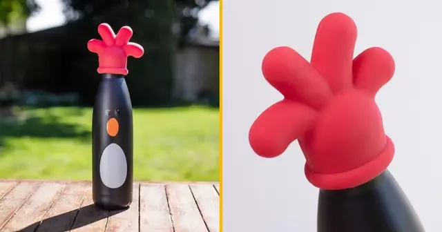 gourde-wallace-gromit