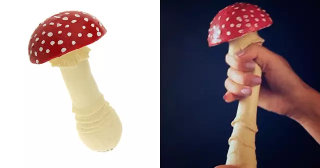 champignon-anti-stress