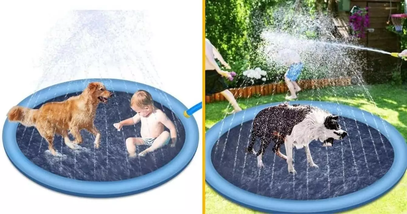 tapis-jardin-arroseur-chien-bebe