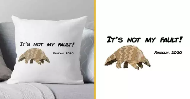 coussin-pangolin-pas-ma-faute
