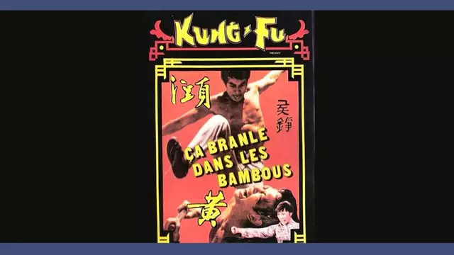 Vignette-Video-affiche-kung-fu