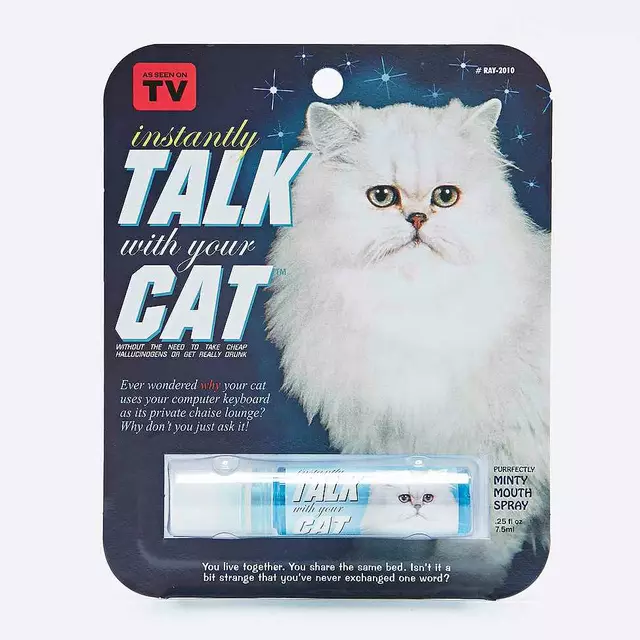 talk-cat