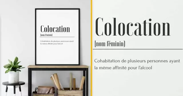 affiche-definition-colocation
