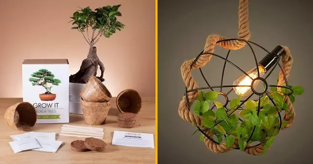 UNE_SHOPPING_NATURE_MAISON