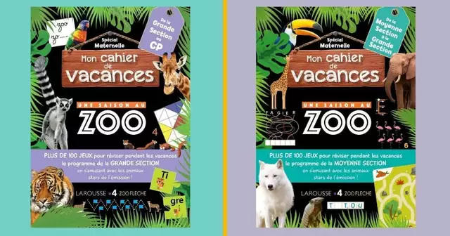 cahier-vacances-ete-cm1-cm2