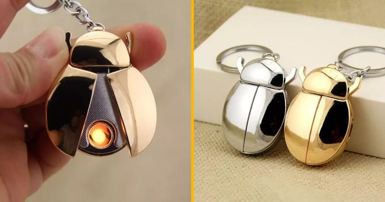 briquet-forme-coccinelle