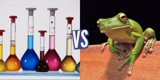 battle-347330-1420044706