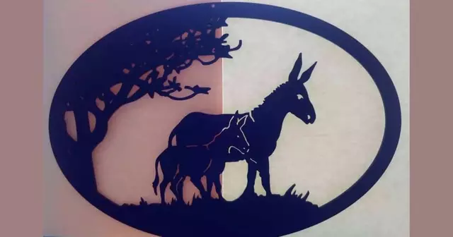 decoration-murale-ane