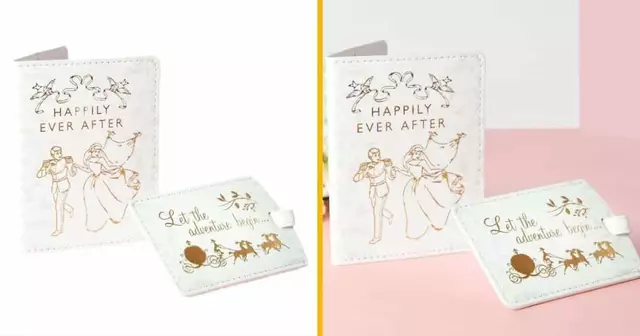 protege-passeport-dumbo