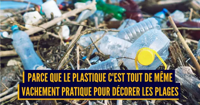 PLASTIQUE DECHETS