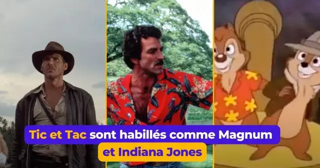 UNE-details-series-connues