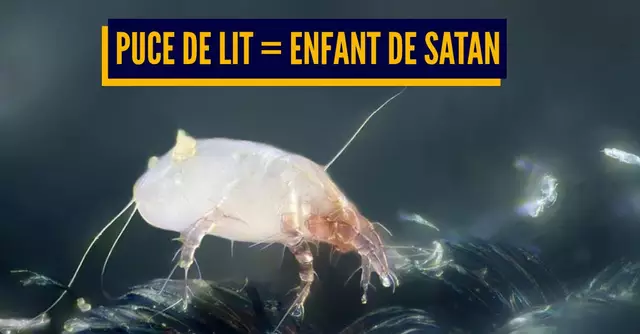 UNE_TOP_CREATURES_LIT