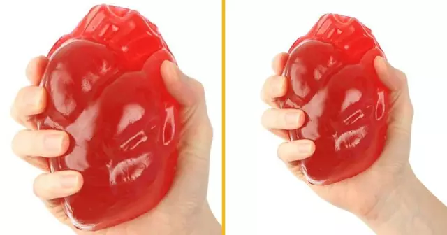 coeur-humain-gelatine