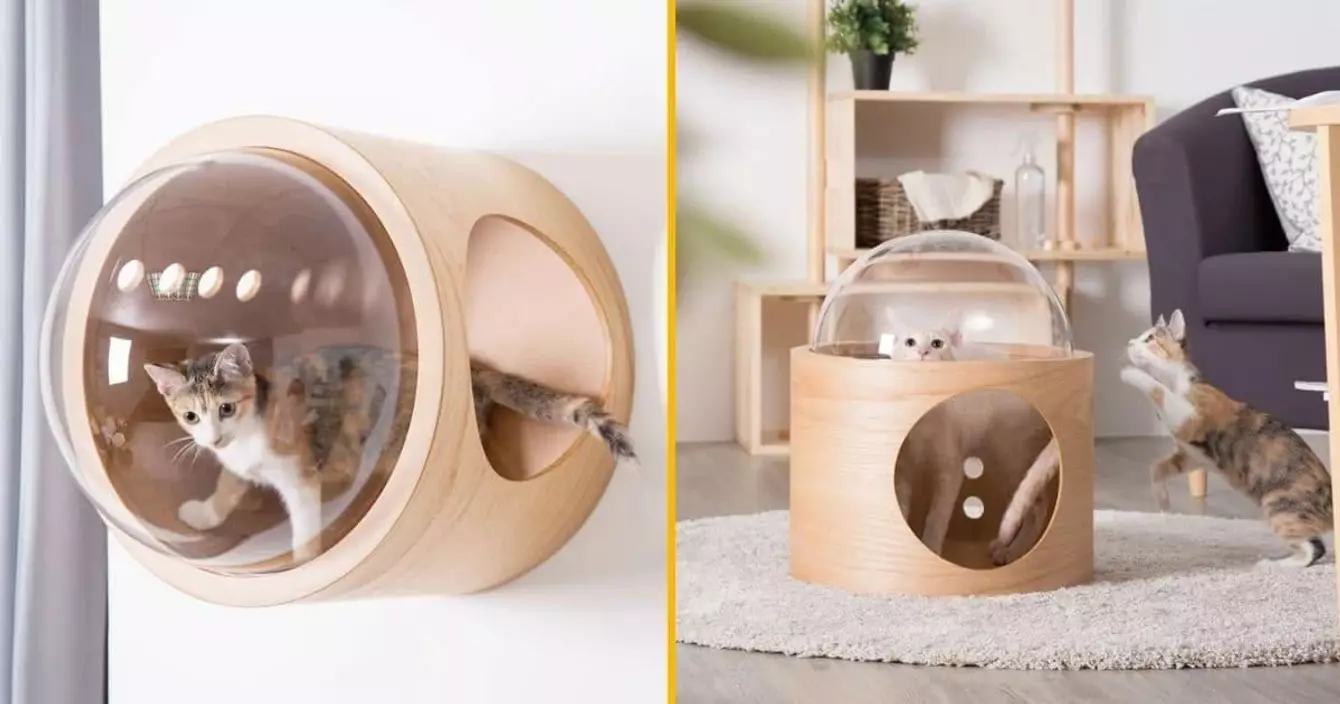 lit-chat-bulle-accrocher-mur