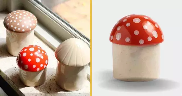 pot-rangement-champignon