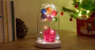 lampe-renferme-maison-la-haut