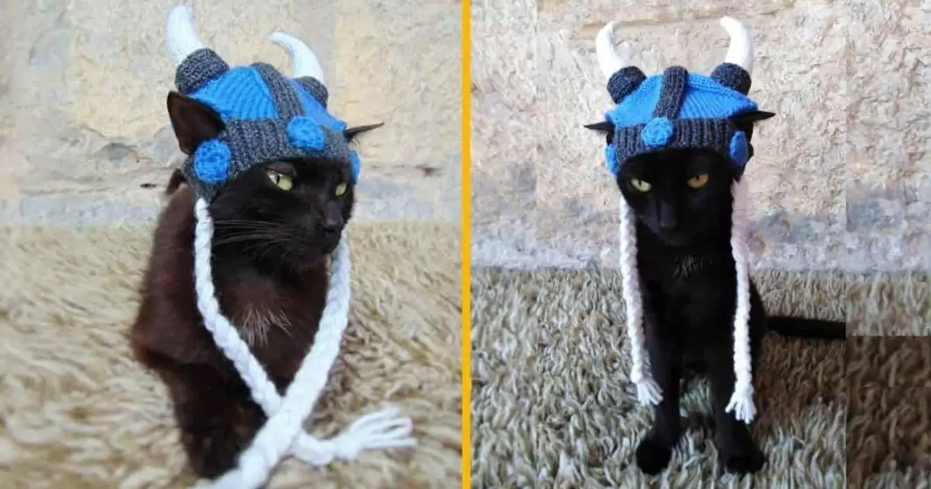 chapeau-viking-pour-chat-