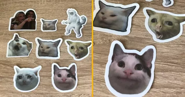 autocollants-memes-chats