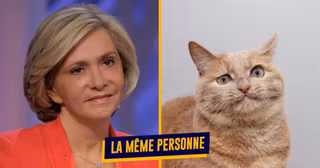 PhotosCandidatsChats