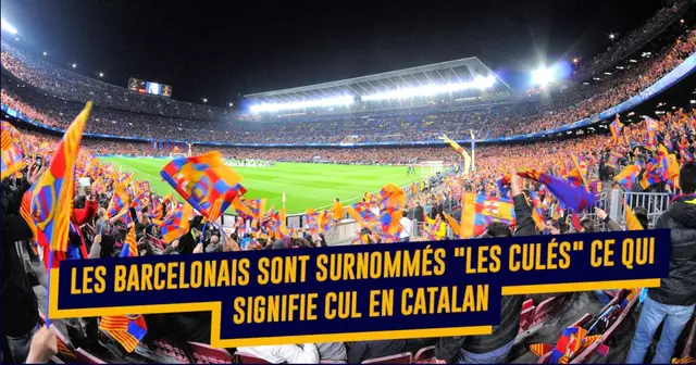 une-surnoms-clubs-de-foot