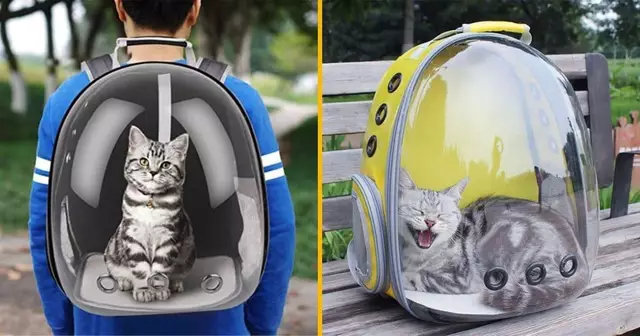 sac-dos-transparent-animal