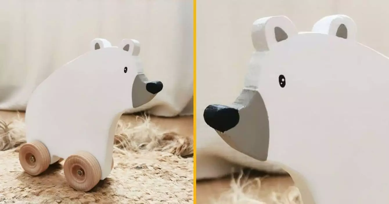 ours-roulettes-aider-enfants-deplacer