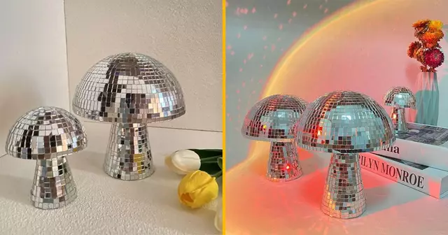 champignon-disco-illuminer-salon