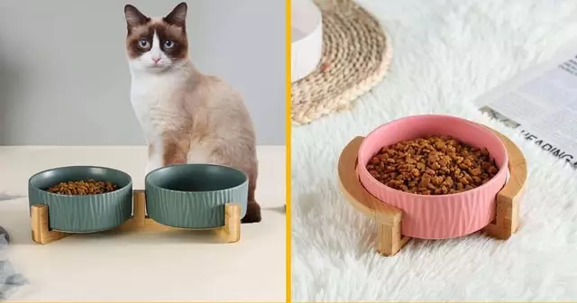 table-a-manger-pour-chat