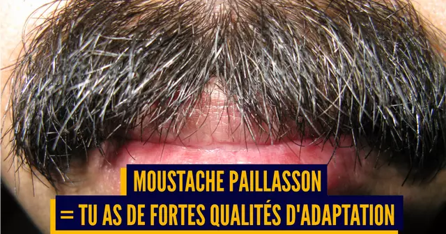 UNE MOUSTACHE