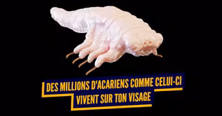 top infos pas envie savoir