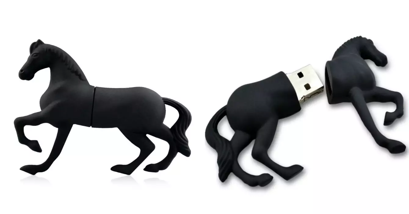 cle-usb-cheval