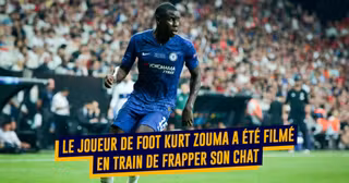 StarsMaltraiteAnimaux