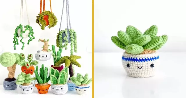 modele-succulente-crochet