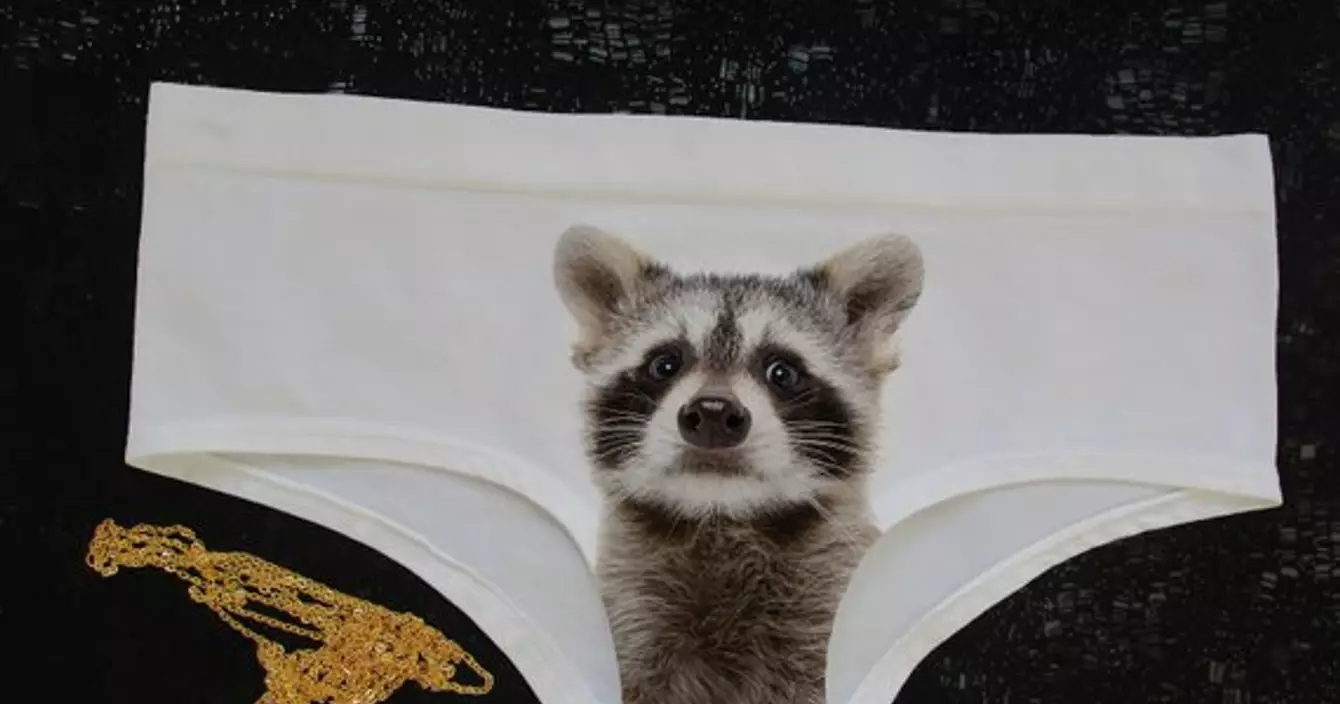 culotte-raton-laveur