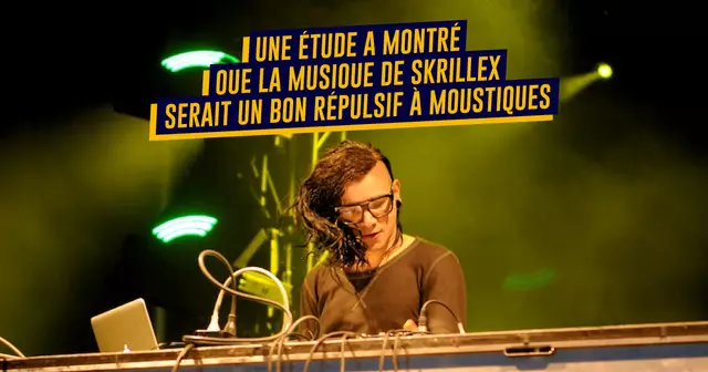 UNE_REDAC_skrillex