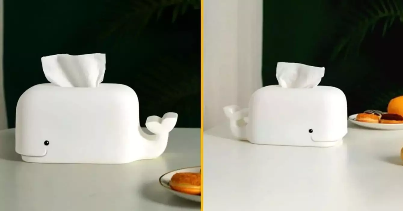 boite-mouchoirs-baleine