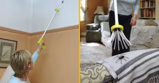 attrape-araignee-sortir-chez-toi