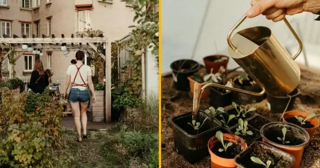 atelier-apprendre-bases-jardinage-citadin-paris