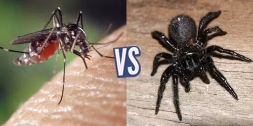 battle-361026-1425419843