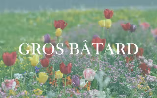 tumblr_m4scrkVqwf1rwiscuo1_1280