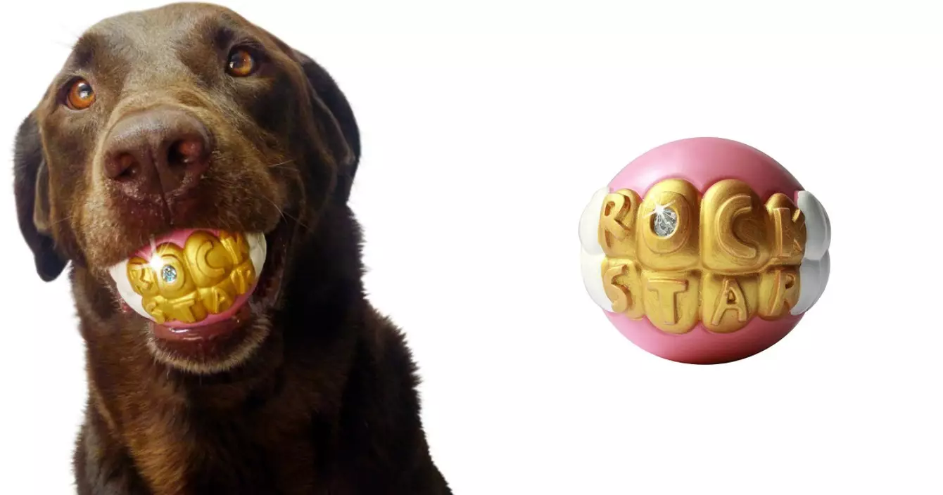 balle-chien-rock-star