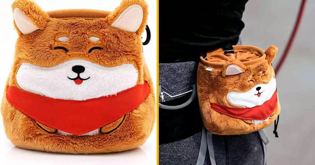 sac-magnesie-shiba-inu