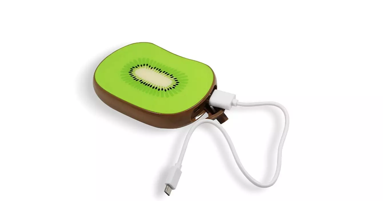 batterie-secours-kiwi