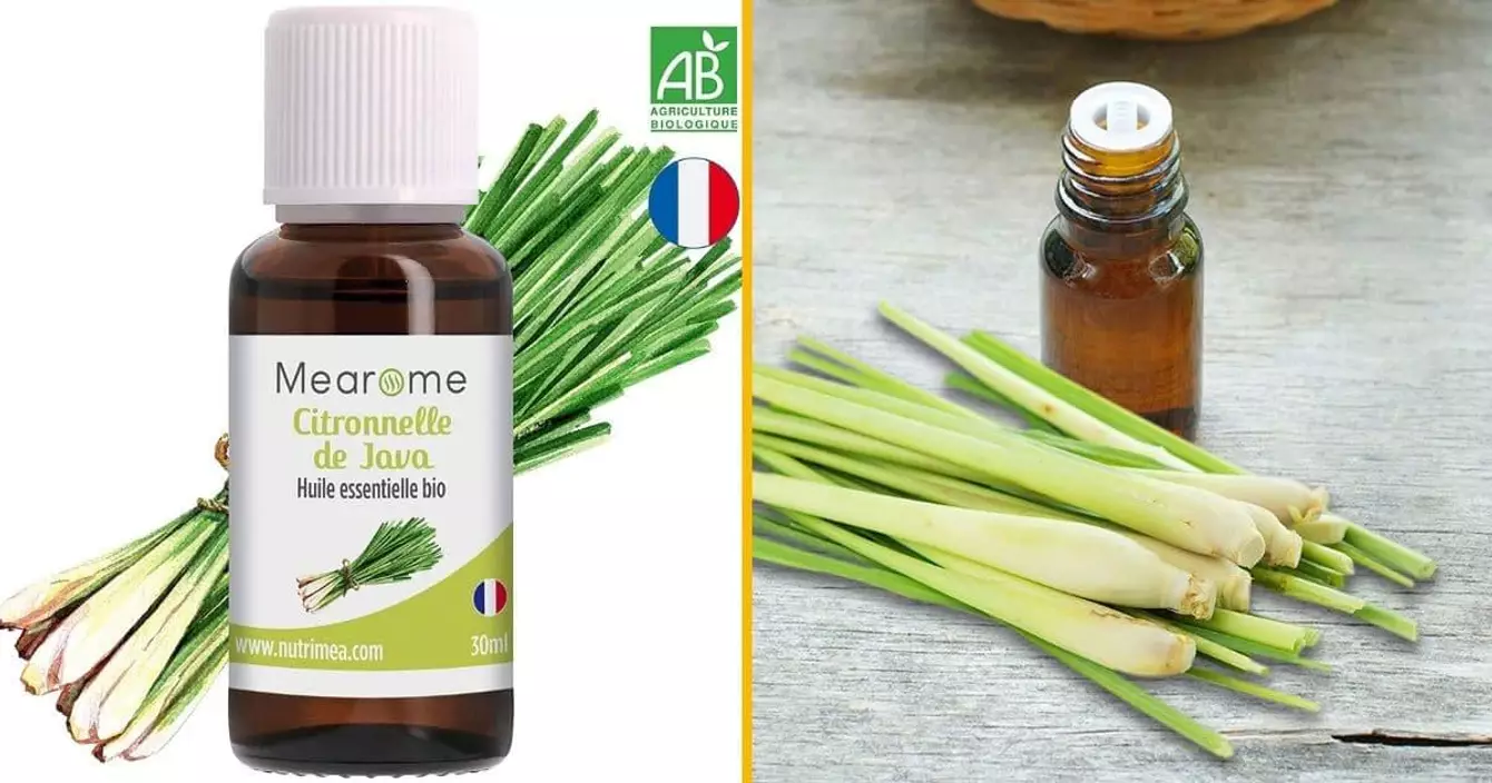 huile-essentielle-citronnelle-anti-moustiques