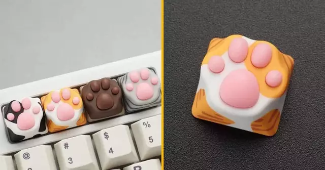 capuchon-clavier-patte-chat